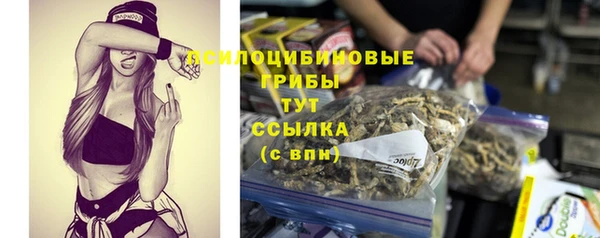 амф Нея