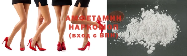 ПСИЛОЦИБИНОВЫЕ ГРИБЫ Новозыбков
