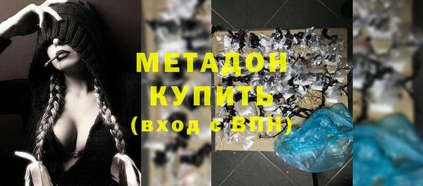 ПСИЛОЦИБИНОВЫЕ ГРИБЫ Новозыбков