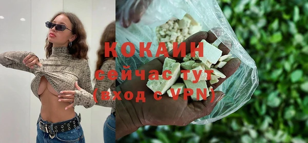 ПСИЛОЦИБИНОВЫЕ ГРИБЫ Новозыбков