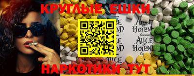 прущие грибы Абакан