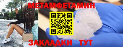 прущие грибы Абакан