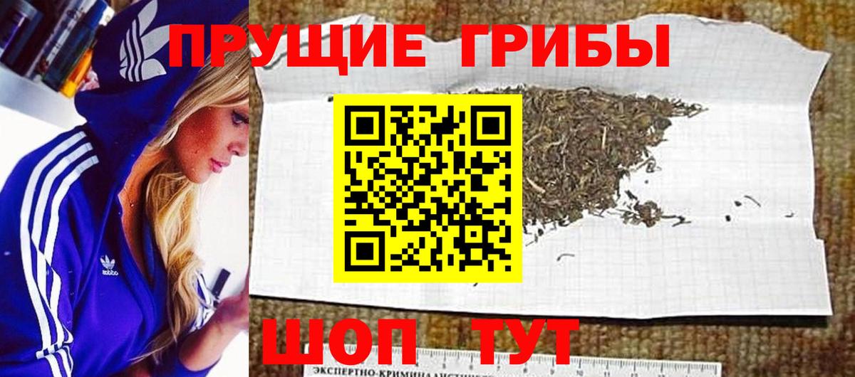 Галлюциногенные грибы Psilocybine cubensis  Вход с VPN  Анапа 