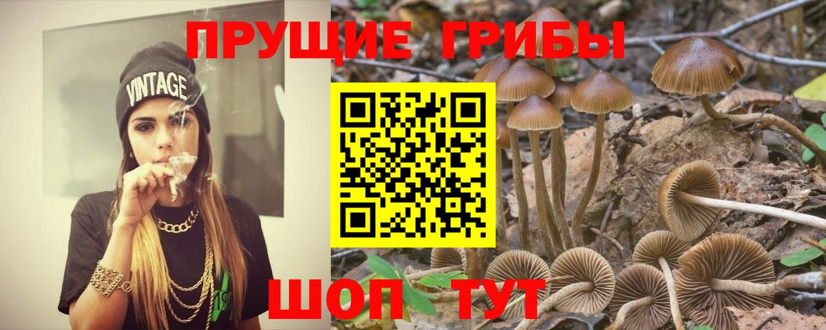 Анапа  Галлюциногенные грибы ЛСД  даркнет сайт  Вход с VPN 