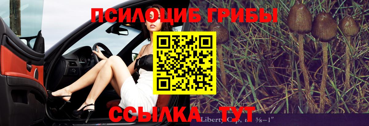 Псилоцибиновые грибы GOLDEN TEACHER Анапа