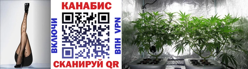 Бошки марихуана тримм  Анапа 